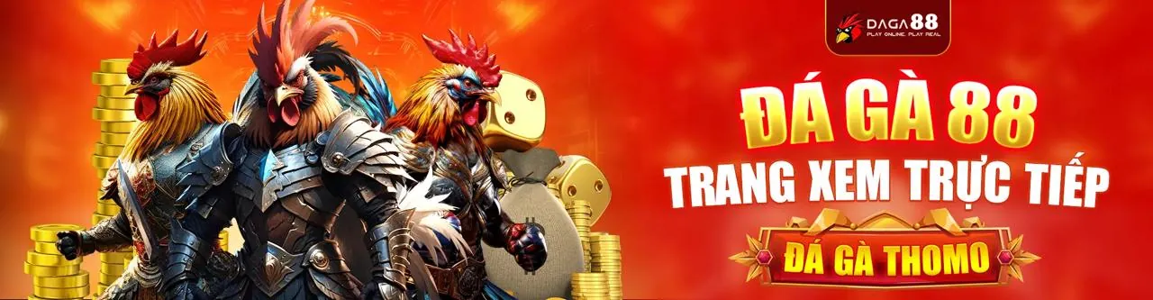 Sân đấu đá gà trực tuyến sôi động tại TV88 đăng nhập
